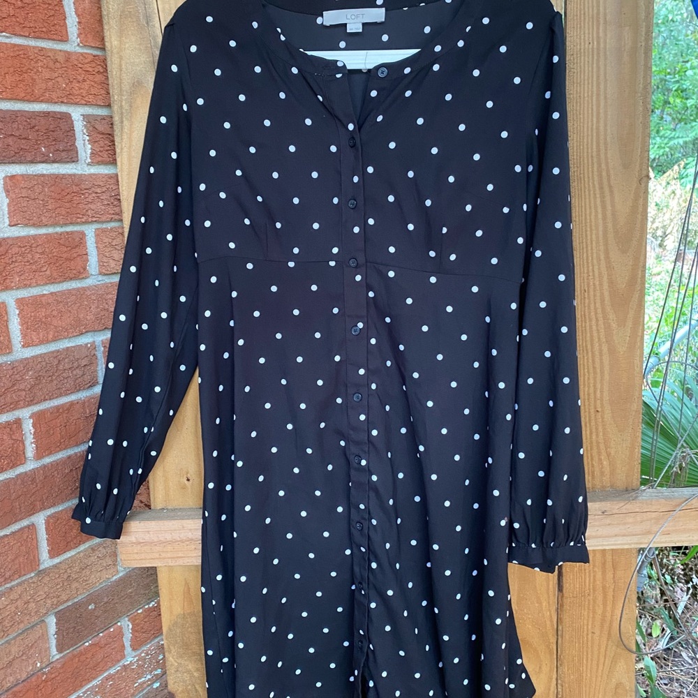 LOFT Black and White Polka Dot Dress